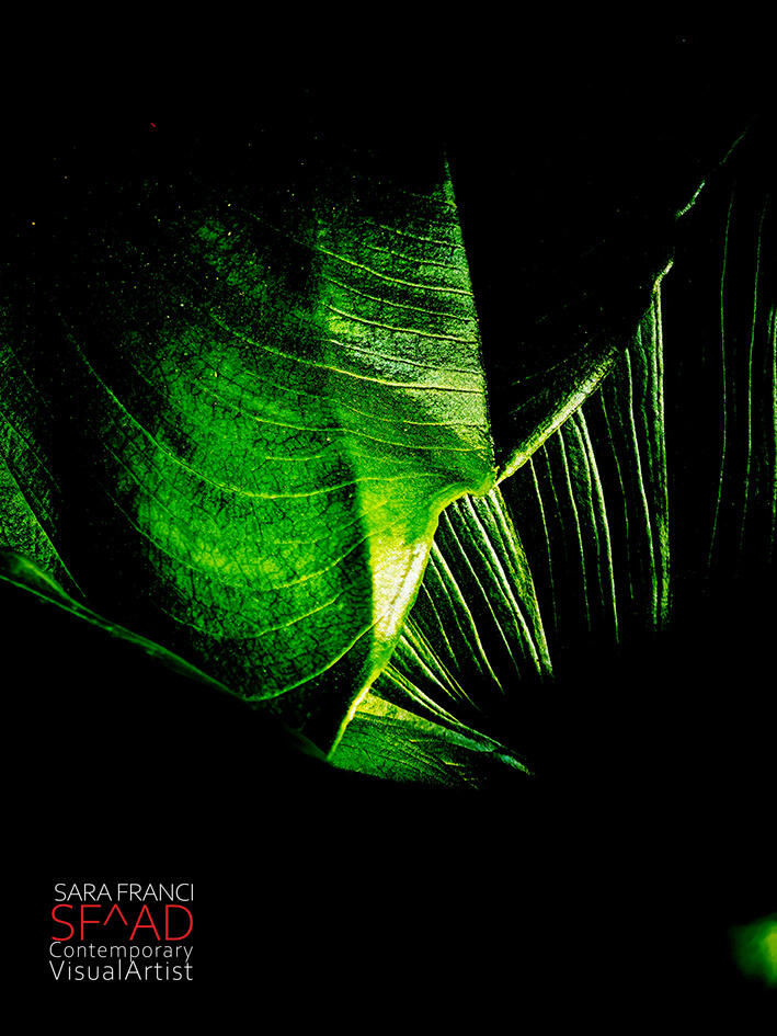 OXYGEN - Incastri 02 - 60x80 cm.