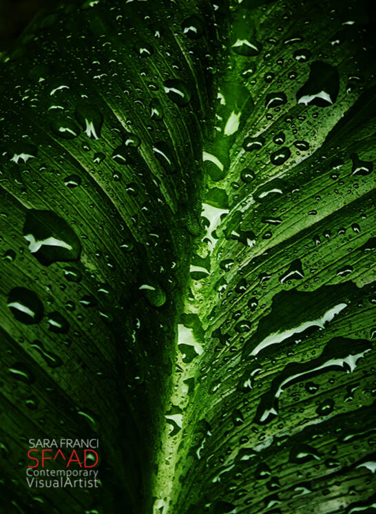 OXYGEN - Riflessi 01 - 60x80 cm.
