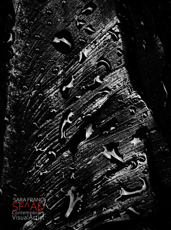 OXYGEN - Mercurio Black - 60x80 cm.