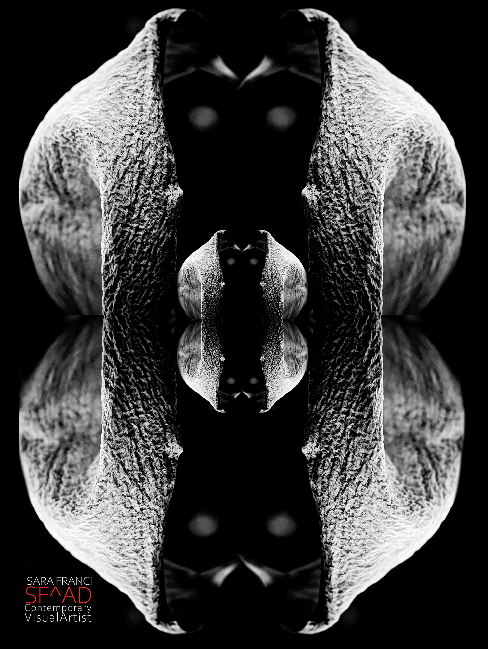 Absolute Oxygen - Incorruptus 60x80 cm.