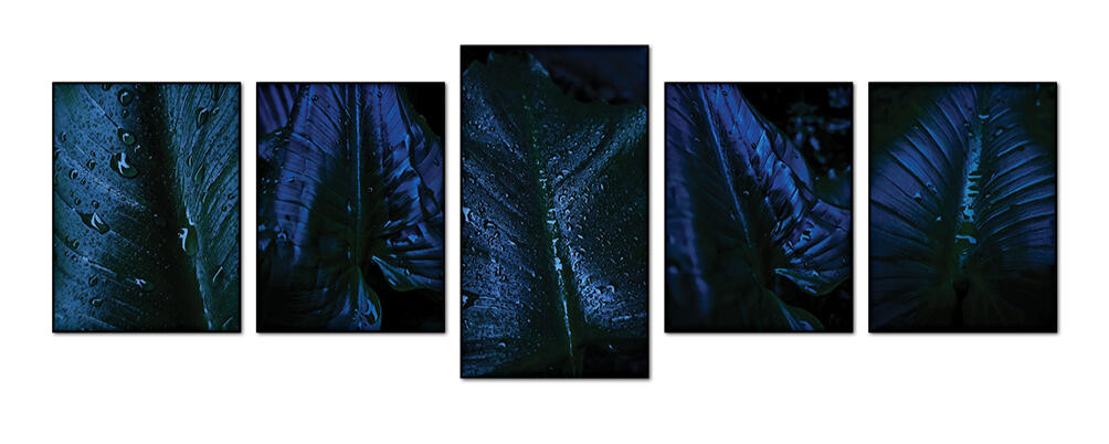 OXYGEN - ISTALLAZIONE NOTTURNO Sara Franci