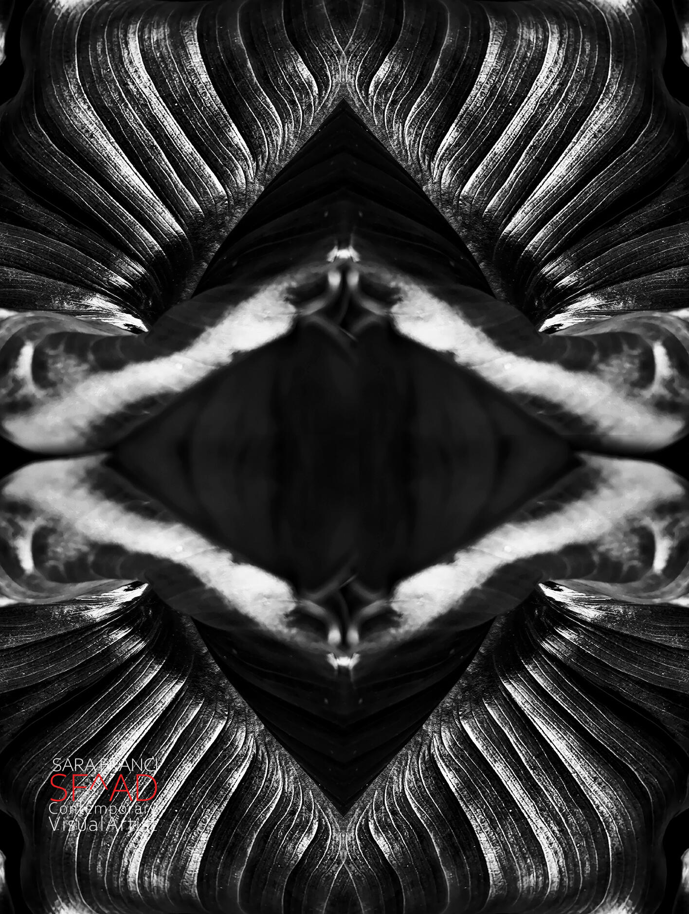 Absolute OXYGEN - Inside 60x80 cm. Sara Franci